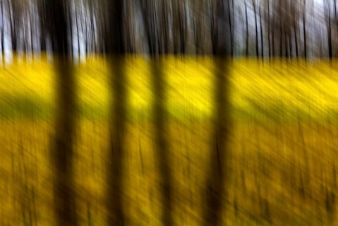 Traumatic landscape