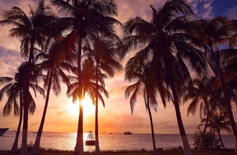 Isla Mujeres island Caribbean beach sunset palm trees Riviera Maya in Mexico