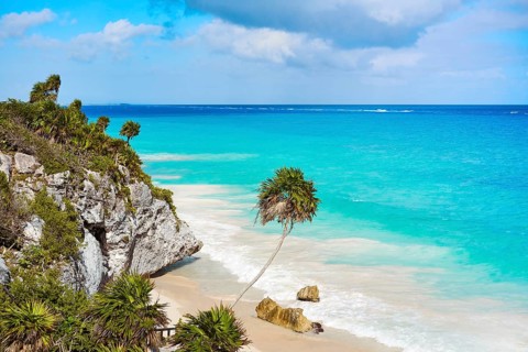 Tulum turquoise beach palm tree in Riviera Maya at Mayan Mexico