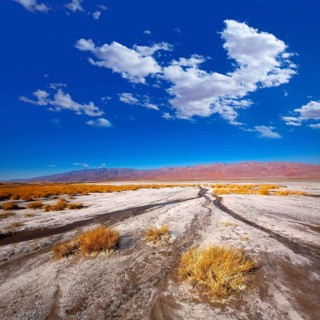 Death Valley National Park California Badwater salt soil desert