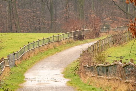Peaceful countryside landscape featuring a winding gravel path, wooden fences, and lush green