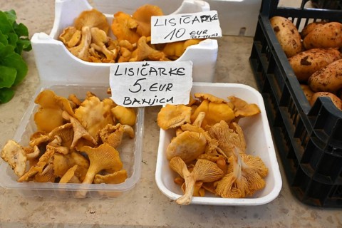 Chanterelles at the market (Cantharellus cibarius), Croatia, Europe