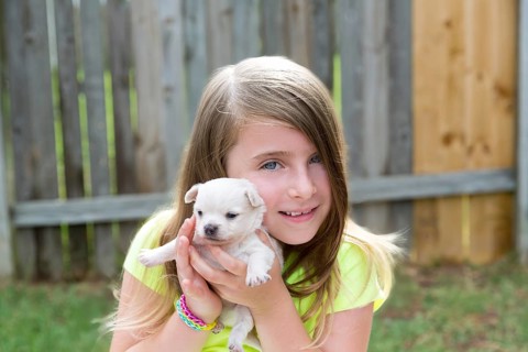 Blond kid girl with puppy pet chihuahua playing happy with doggy outdoor
