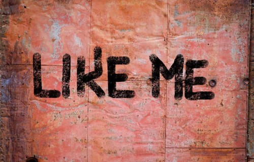 Like Me Concept