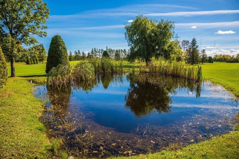 Adorable oval pond in the beautiful park. Red and orange autumn in French Canada. Concept of