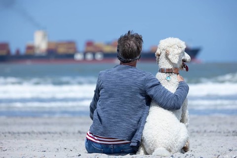Woman sits together with her dog, a white poodle, amicably familiar on the beach in the sunshine,