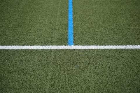 The green turf of a football pitch with the touchline and the centre line