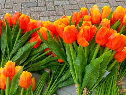 Wooden tulips in the shop in Volendam. Volendam is a town in North Holland, 20 kilometres north of