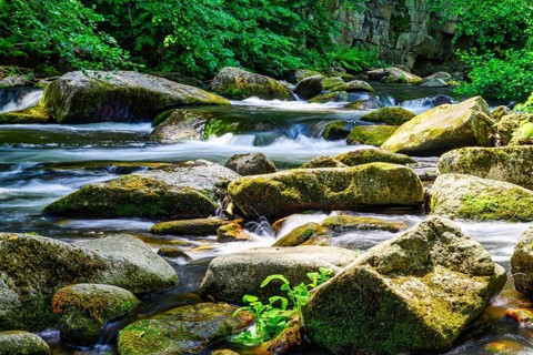 A view of the Bode riverbed in the Harz Mountains in glorious sunshine