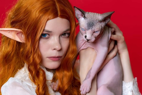 Portrait of young female cosplayer elf showing purebred Sphinx kitten with blue eyes. Ginger elf in