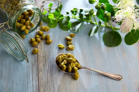 Capers pickled with plant and caper plant flower on vintage spoon