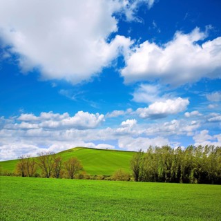 Cereal fields by The Way of Saint James in Castilla near Burgos
