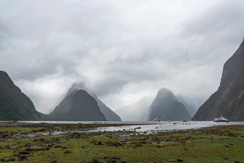 Magnificent panoramic view of Milford Sound during rainy weather, South Island of New Zealand