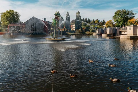 Ducks on the lake in the park. Park in the fall. Autumn trees. Wild ducks are reflected in the lake