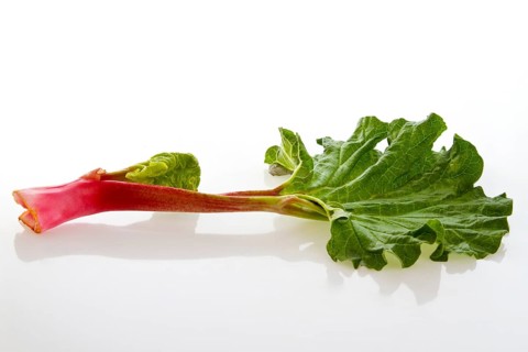 Fresh rhubarb stalk on a light-coloured background
