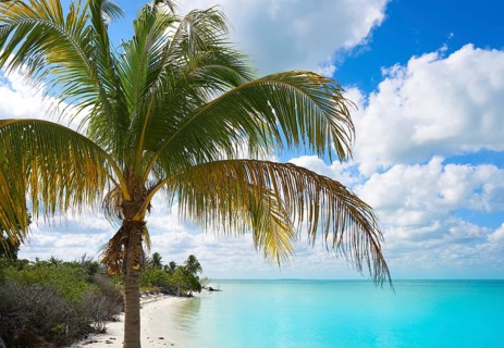 Holbox Island paradise beach palm trees in Quintana Roo of Mexico