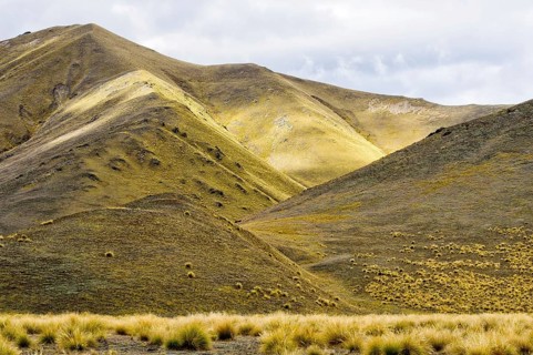 Tussocks and yellow rolling hills near Lindis Pass in Central Otago on the South Island of New