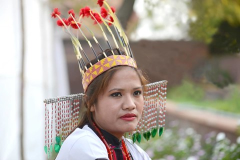 Woman wearing traditional dress, mizoram, india, asia, mr#786