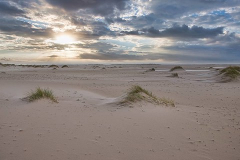 Dunes at the Beach of Amrum, Germany, Europe