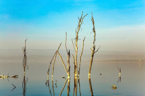 Journey to the exotic country of Kenya. Lake Nakuru National Park in East Africa. Sunset. Gentle