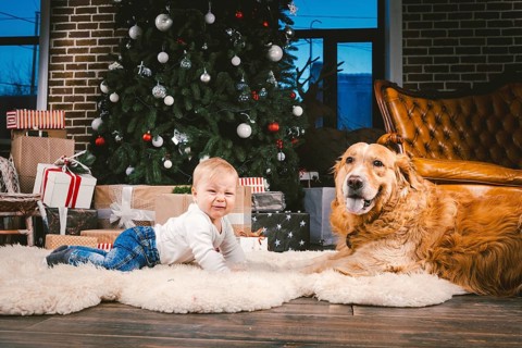 Friendship man child and dog pet. Theme Christmas New Year Winter Holidays. Baby boy on the floor