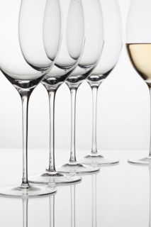 Five glasses of wine and on the white background