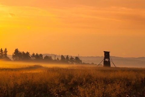 Hunting tower in the morning mist