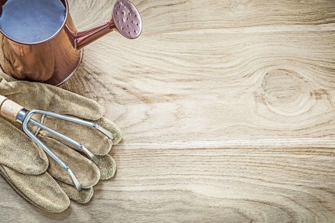 Watering can metal rake gardening gloves on wood board copy space agriculture concept