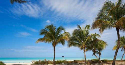 Holbox tropical Island palm tree beach in Quintana Roo of Mexico