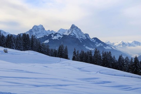 Ski slope and mountains Gummfluh and Le Rubli