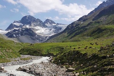 The Piz Buin and the source of the Ill, Silvretta- Vorarlberg