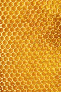 Honey with honeycombs in cells, background of bee frames, shine of honey in the sun