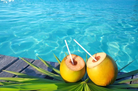 Coconuts cocktail palm tree leaf in Caribbean tropical sea