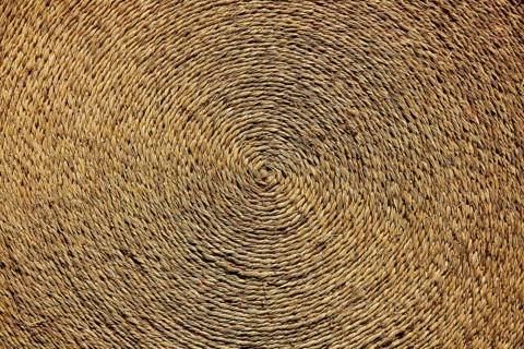 Esparto halfah grass used for crafts as cords basketry and espadrilles