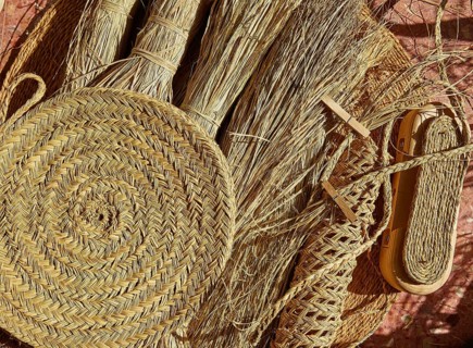 Esparto halfah grass used for crafts as cords basketry and espadrilles