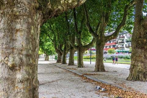 The famous Town Koblenz in Germany has many interesting sightseeing places
