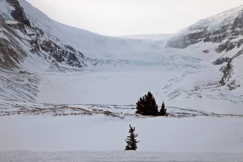 Columbia Icefields Alberta Rocky Mountains winter Canada