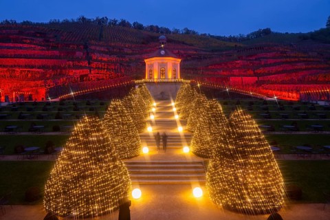 Adventure winery to shine in special splendour from next week Radebeul, 1 November 2024 From 8