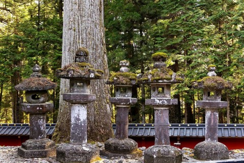 The rows of stone lanterns - sculptures. Majestic pine forest and ancient temple. Japan. Nikko