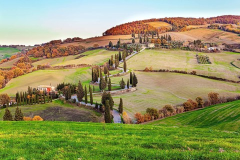Italy. Sunset. Slender cypress trees adorn and frame the roads. Wonderful warm sunny day in late