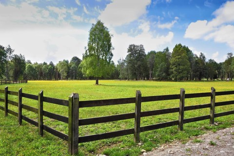The green grassy rural field fenced with a low strong fence