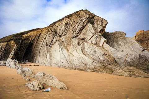 Incredible rock formations, stones and boulders. Adorable sea gull. Cantabria, Spain. The Playa de