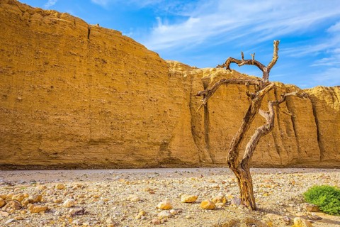 The stone desert in the neighborhood of the sea resort of Eilat. Walking route on picturesque Black