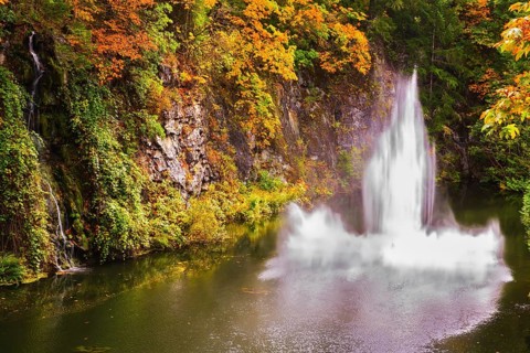 Dancing fountain in a quiet pond. Autumn day in the park. Butchart Gardens on Vancouver Island,