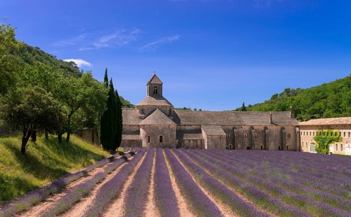 Monasteries of the Cistercian