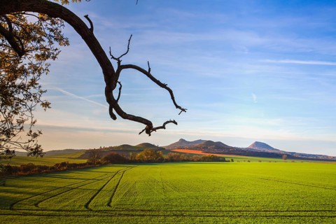 The morning in Central Bohemian Highlands, Czech Republic. Central Bohemian Uplands is a mountain