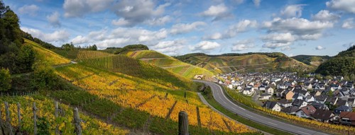 Hiking on the red wine trail in the Ahr valley with sunshine in autumn