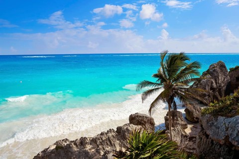 Tulum turquoise beach palm tree in Riviera Maya at Mayan Mexico