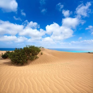 Corralejo dunes Fuerteventura desert at Canary Islands of Spain