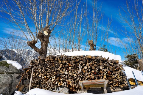 Firewood stacked under snow in Pyrenees of Huesca Spain